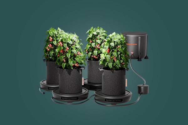 Bewässerungssysteme