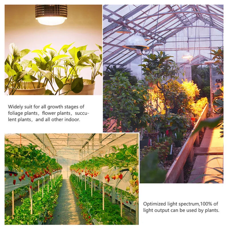 Full Spectrum 120W 150W 300W LED Grow Light