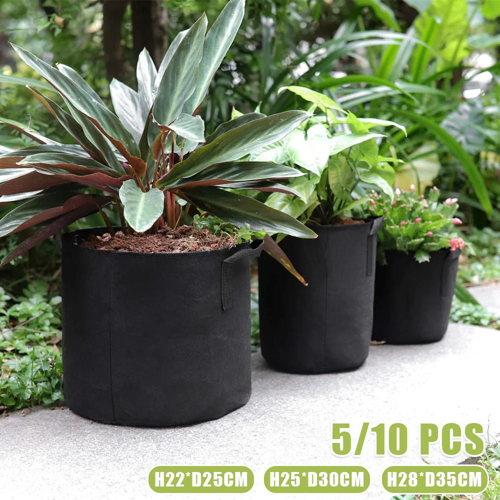 5er/10er Set Pflanzen-Growbags