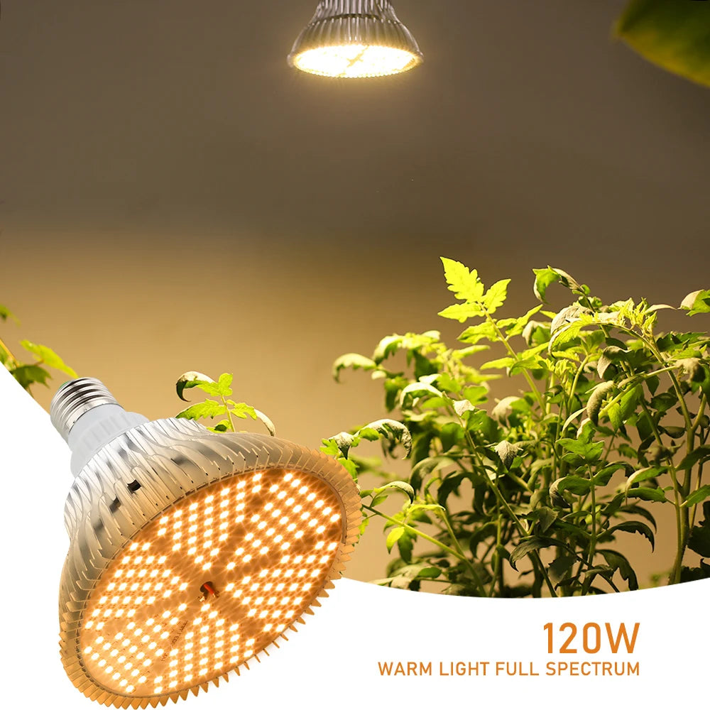 Full Spectrum 120W 150W 300W LED Grow Light