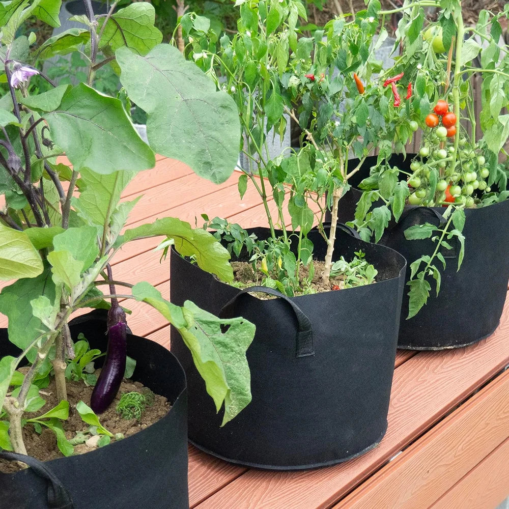 5er/10er Set Pflanzen-Growbags