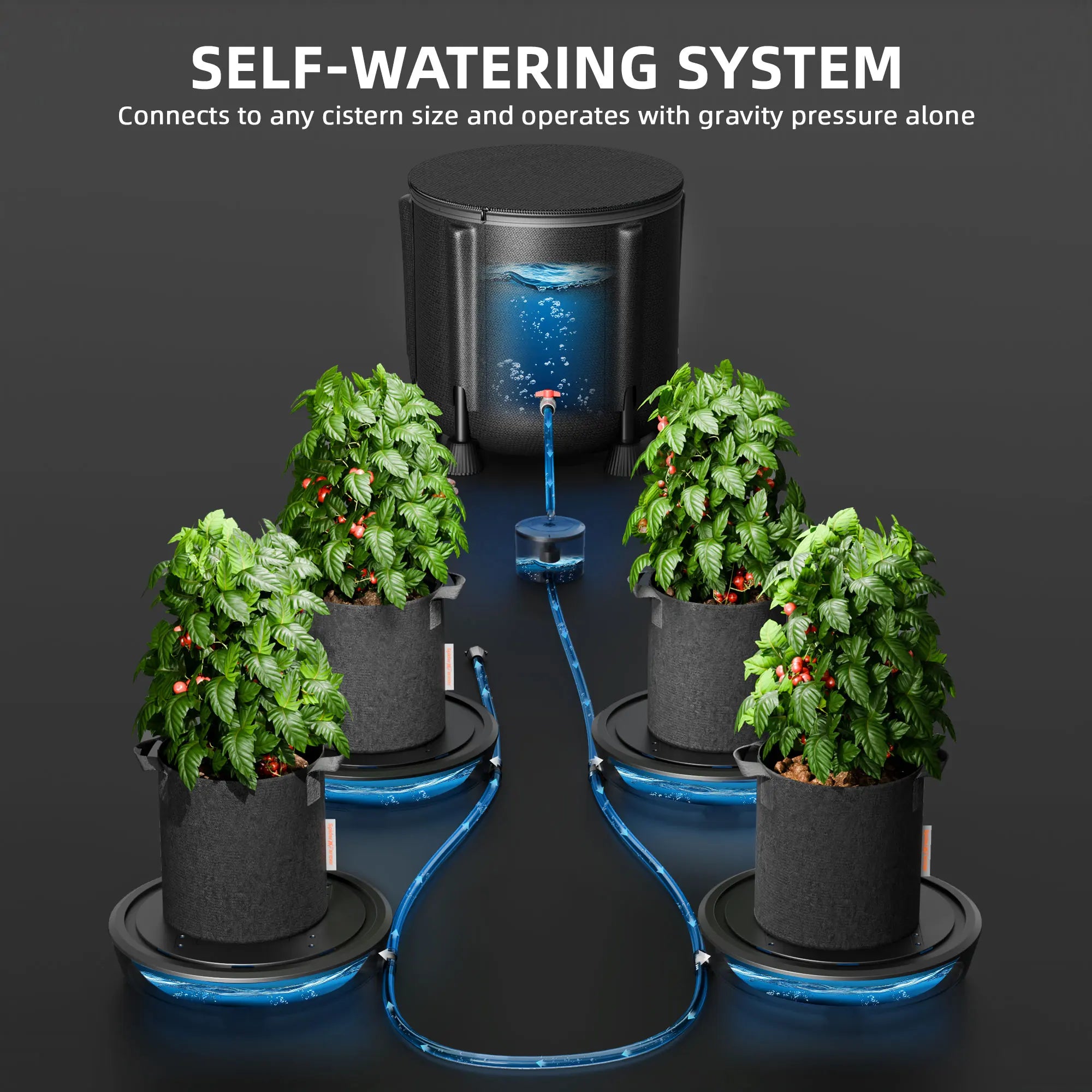 4-Pack Selbstbewässerungs-System mit 50L Wassertank