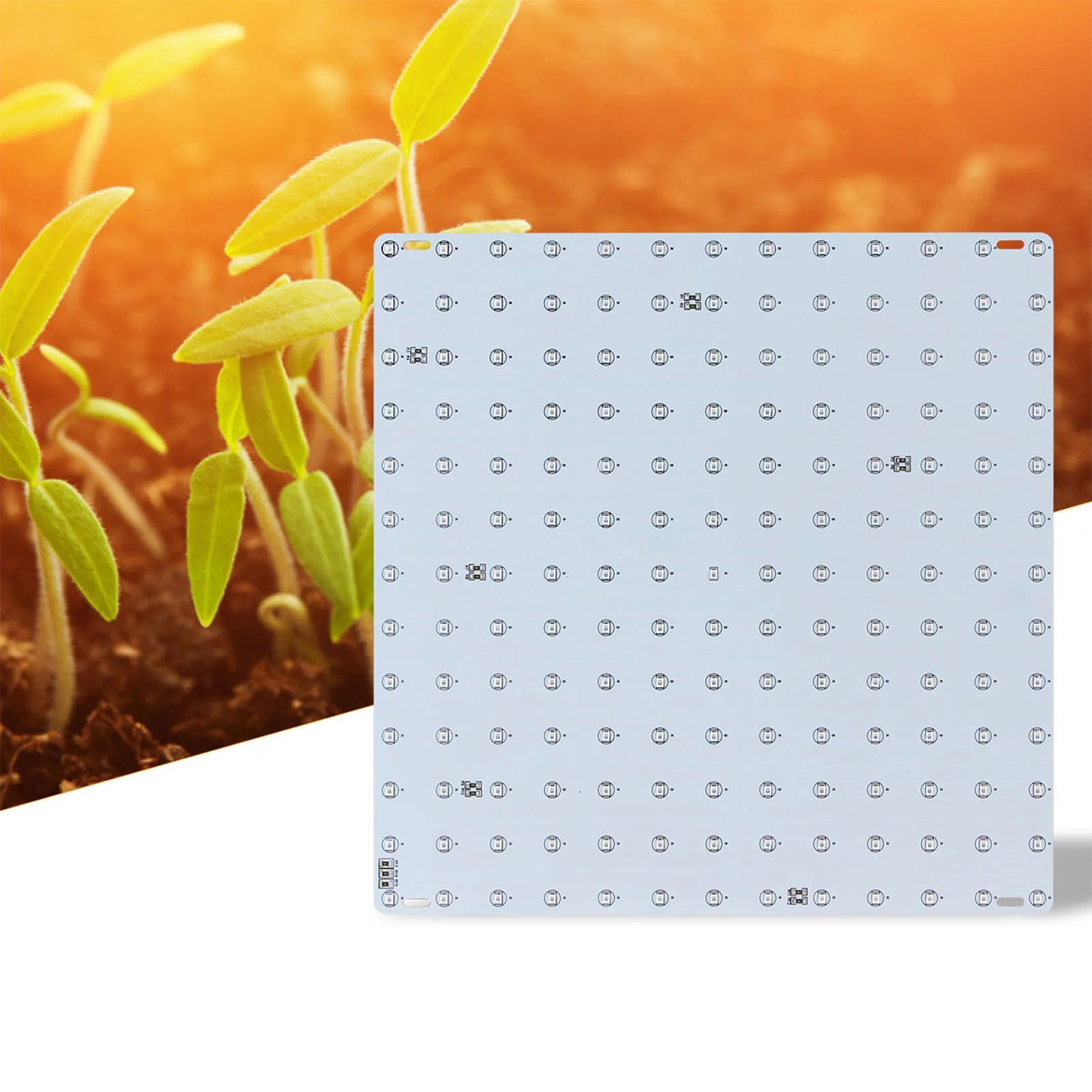 LED-Pflanzenlampe mit Rot-Blau-Licht