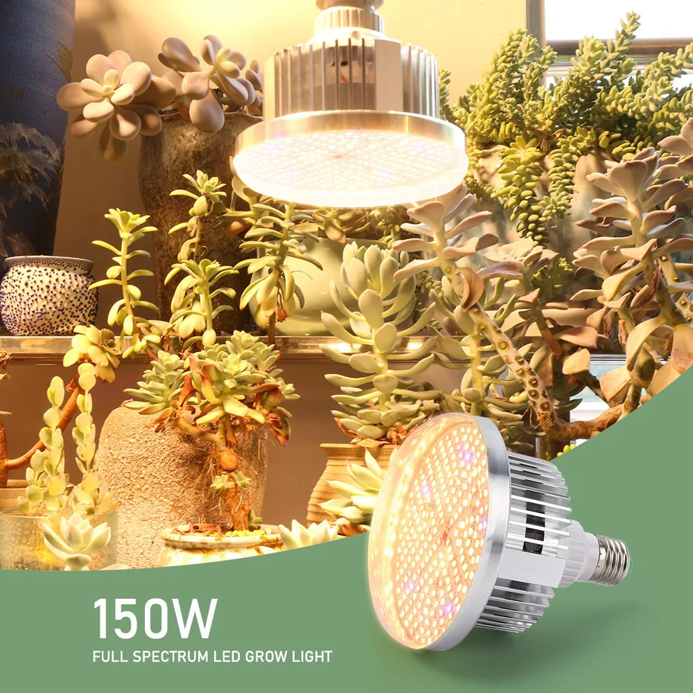 Full Spectrum 120W 150W 300W LED Grow Light