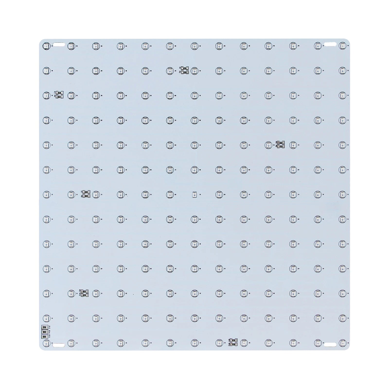 LED-Pflanzenlampe mit Rot-Blau-Licht